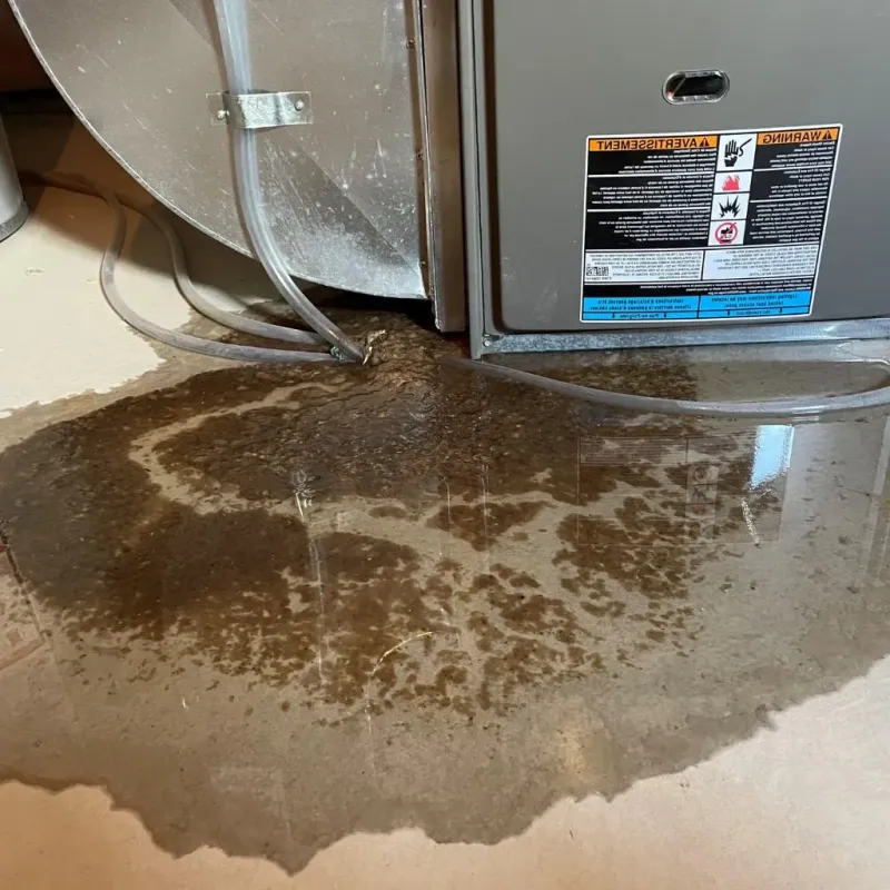 Pipe Burst and Leak Restoration in Merrick County, NE