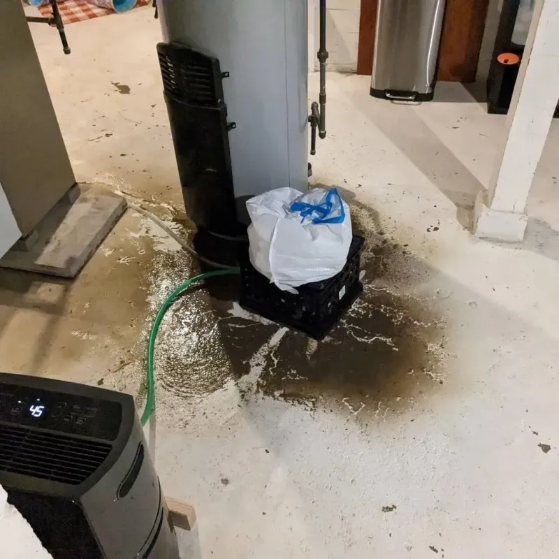 Sewage Backup Cleanup Service in Merrick County, NE